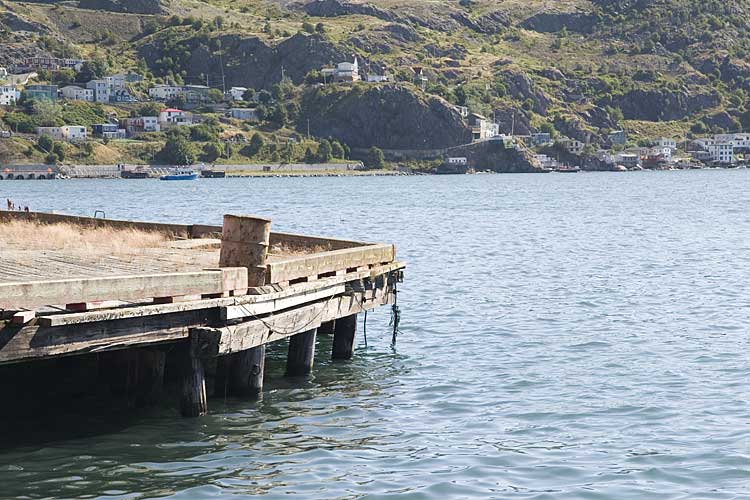 Nwfndlnd_016_harbor3