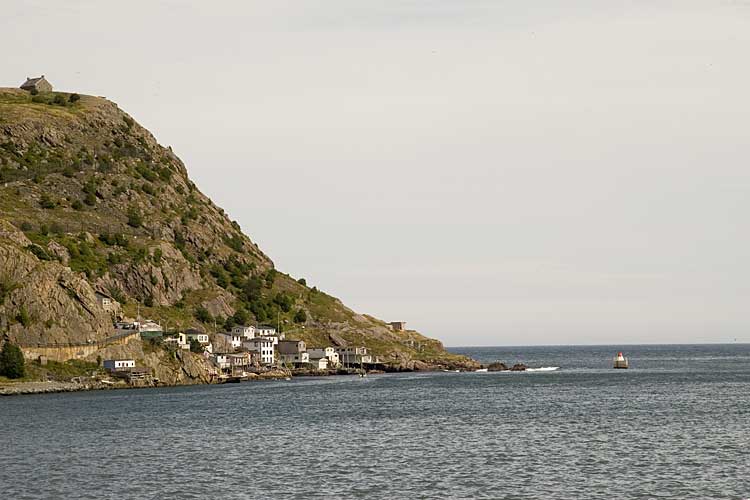 Nwfndlnd_017_harbor4