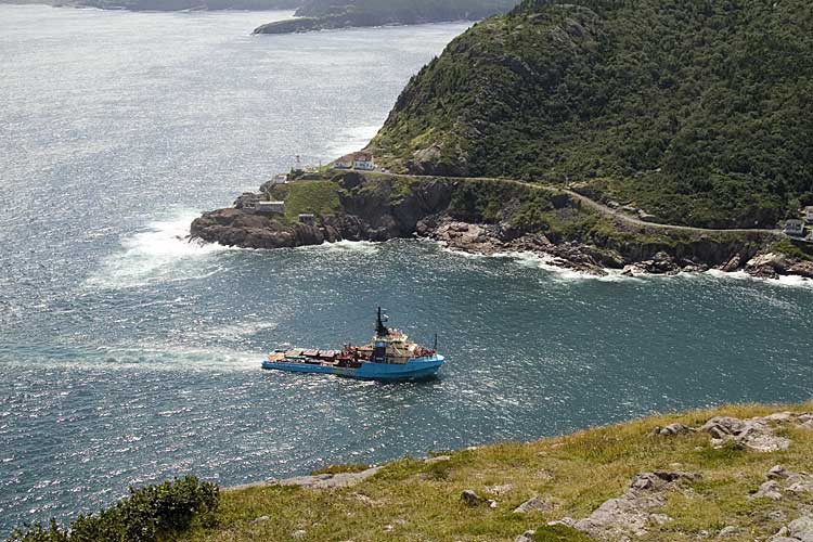 Nwfndlnd_034_harbor4