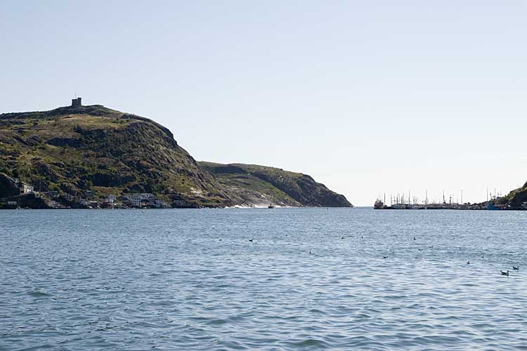 Nwfndlnd_035_harbor5