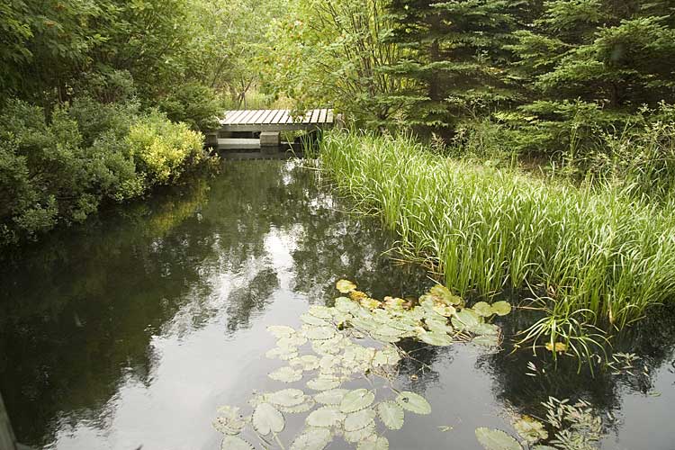 Nwfndlnd_049_fluvarium3