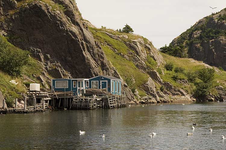 Nwfndlnd_065_quidi-vidi3