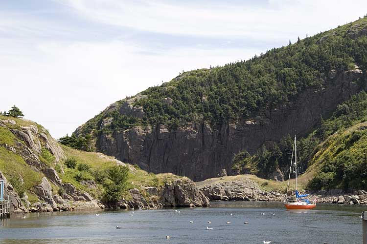 Nwfndlnd_066_quidi-vidi4