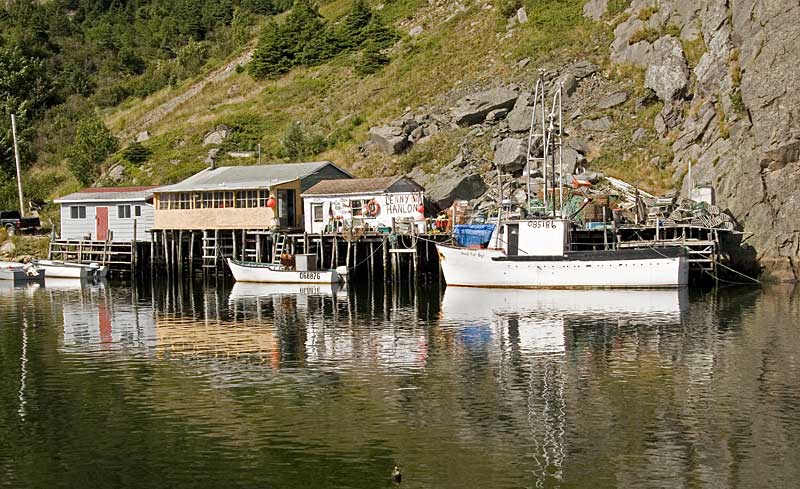 Nwfndlnd_067_quidi-vidi5