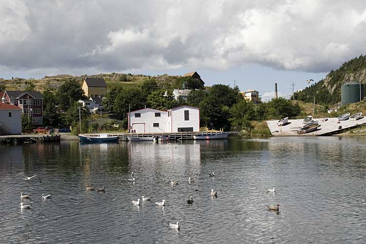 Nwfndlnd_069_quidi-vidi9