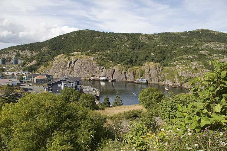 Nwfndlnd_070_quidi-vidi10