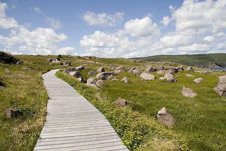 Nwfndlnd_077_pt-spear6