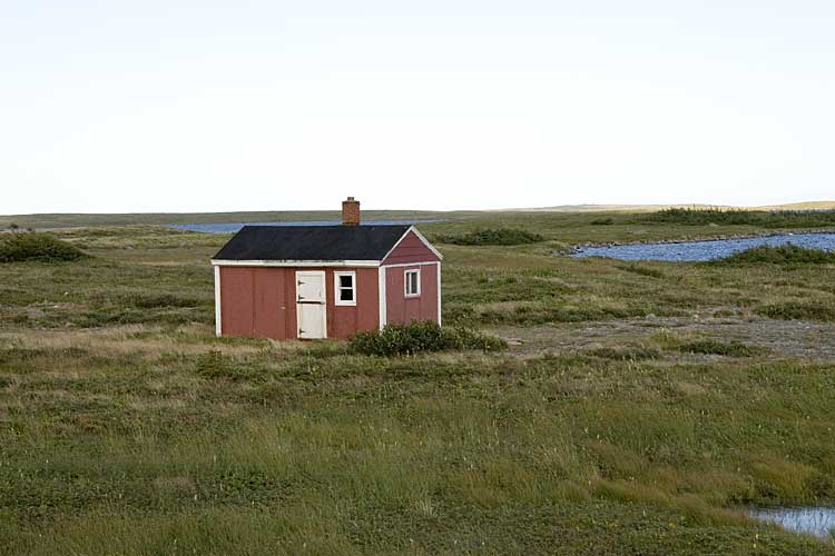 Nwfndlnd_097_rd-south1