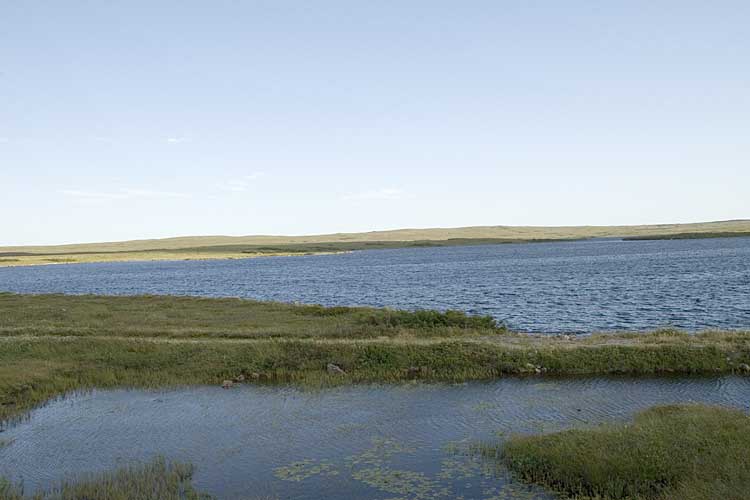 Nwfndlnd_098_rd-south2