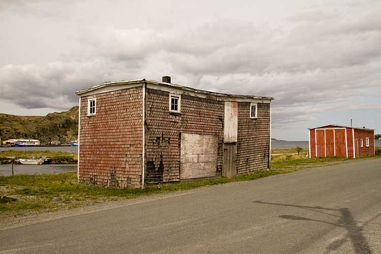 Nwfndlnd_100_cupid-2