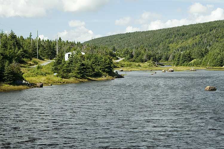 Nwfndlnd_102_baccalieu2