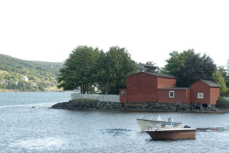 Nwfndlnd_104_baccalieu4