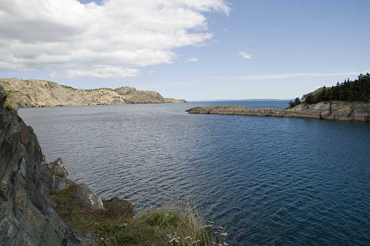 Nwfndlnd_110_baccalieu9