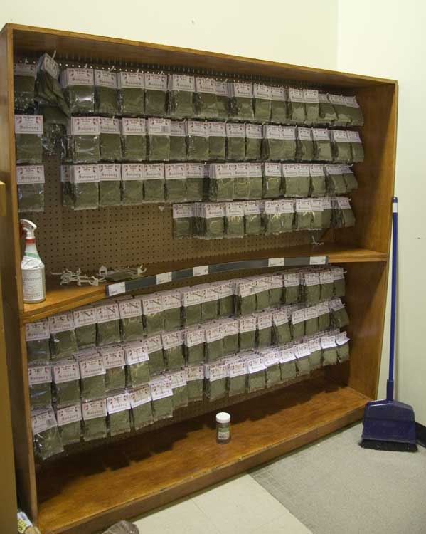 Nwfndlnd_114_savory2